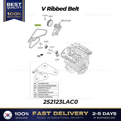 Genuine V Ribbed Belt 252123LAC0 for Hyundai Palisade Kia Telluride