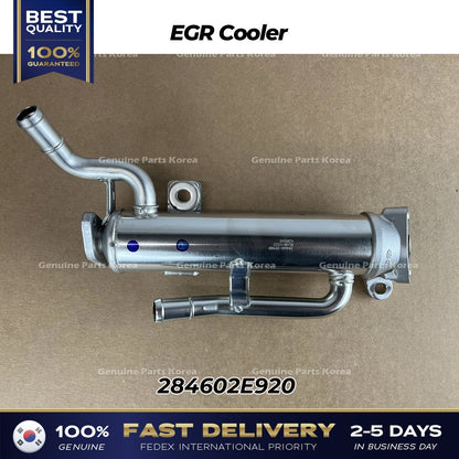 Genuine EGR Cooler 284602E920 for Hyundai Elantra Kia Forte