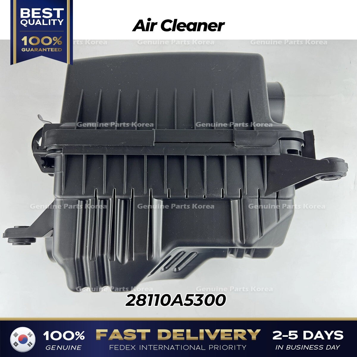 Genuine Air Cleaner 28110A5300 for Hyundai Elantra GT Kia Forte