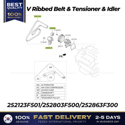 Genuine V Ribbed Belt & Tensioner & Idler for Hyundai Equus Genesis Kia K900