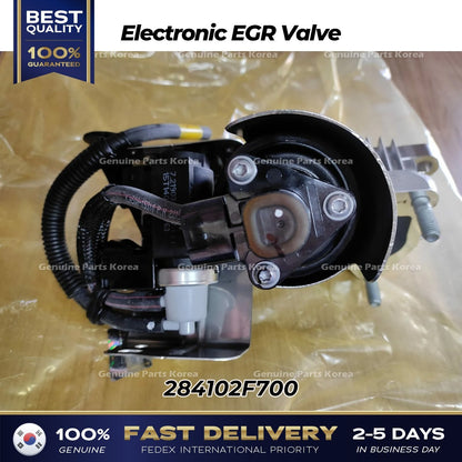 Genuine Electronic EGR Valve 284102F700 for Hyundai Maxcruz Santa Fe