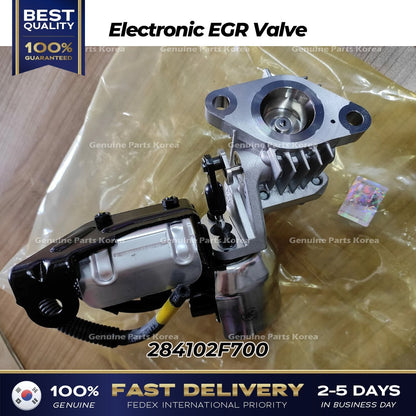 Genuine Electronic EGR Valve 284102F700 for Hyundai Maxcruz Santa Fe