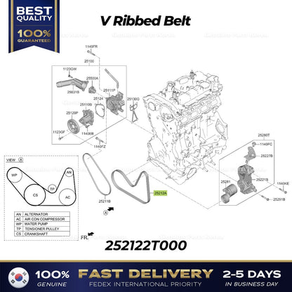 Genuine V Ribbed Belt 252122T000 for Hyundai Genesis G80 Kia Stinger