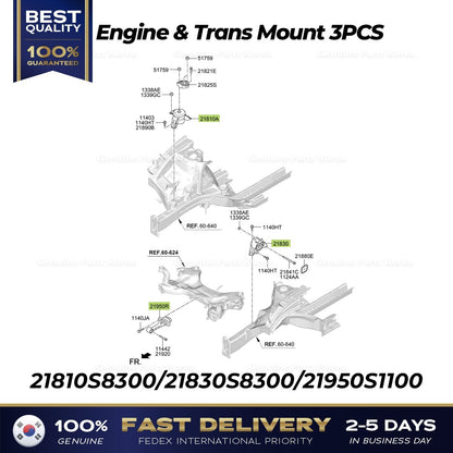 Genuine Engine & Trans Mount 3PCS for Hyundai Palisade 2WD