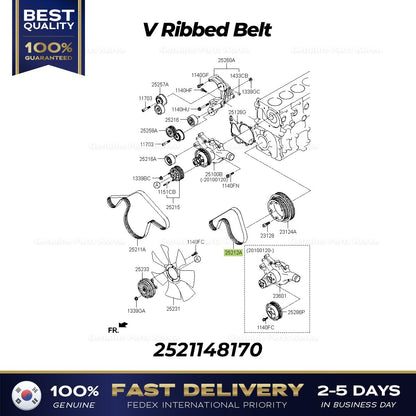 Genuine V Ribbed Belt 2521148170 for Hyundai E-County