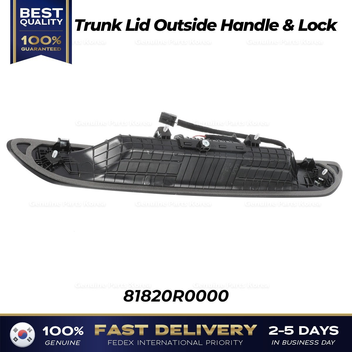 Genuine Trunk Lid Outside Handle & Lock 81820R0000 for Kia Carnival