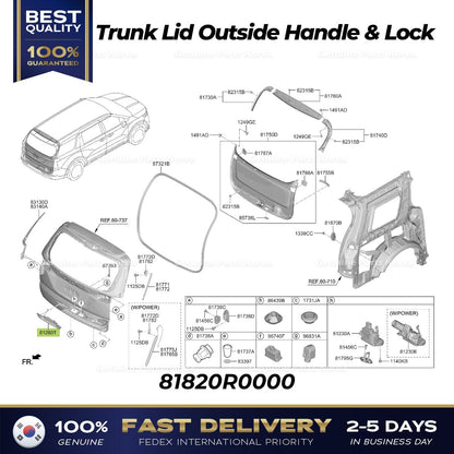 Genuine Trunk Lid Outside Handle & Lock 81820R0000 for Kia Carnival