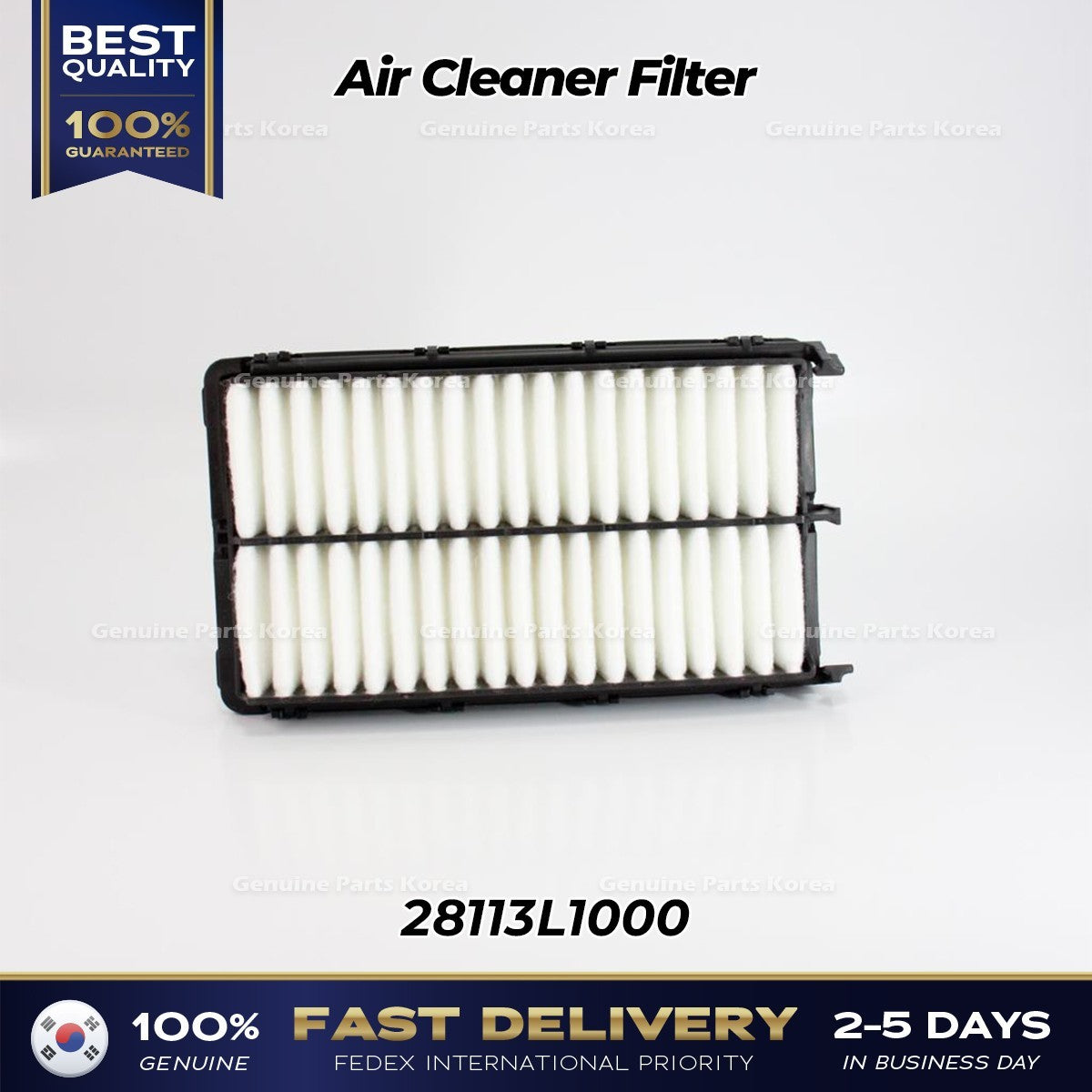 Genuine Air Cleaner Filter 28113L1000 for Hyundai Santa Cruz Kia Sorento