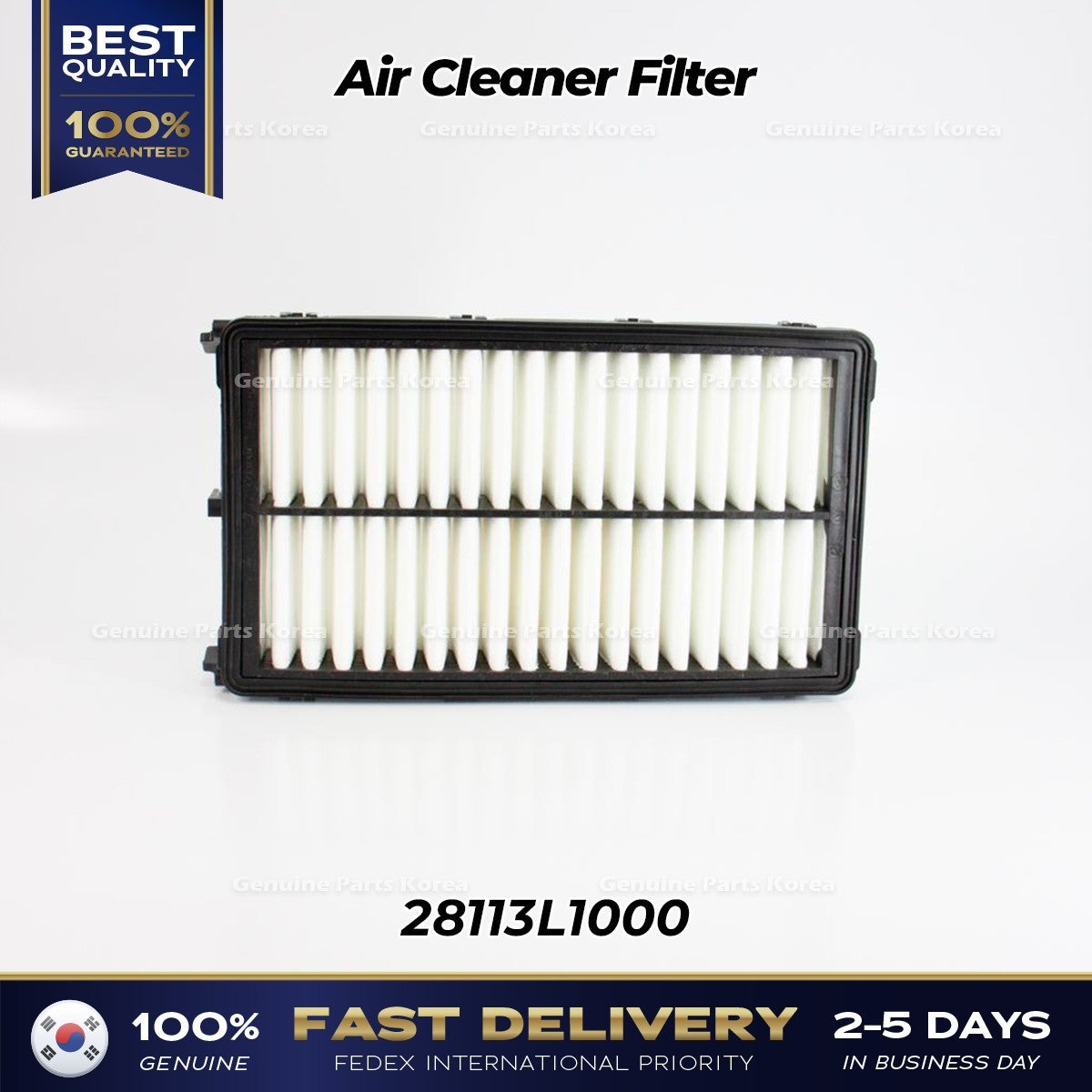 Genuine Air Cleaner Filter 28113L1000 for Hyundai Santa Cruz Kia Sorento