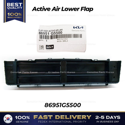 Genuine Active Air Lower Flap 86951G5500 for Kia Niro Hybrid
