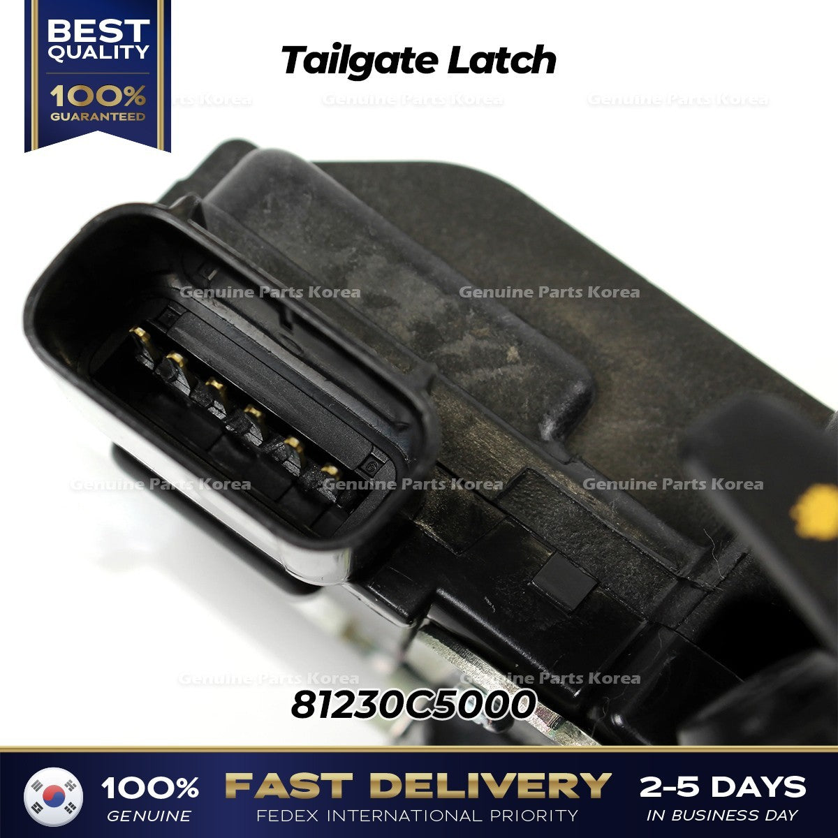Genuine Tailgate Latch 81230C5000 for Kia Sorento