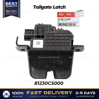 Genuine Tailgate Latch 81230C5000 for Kia Sorento