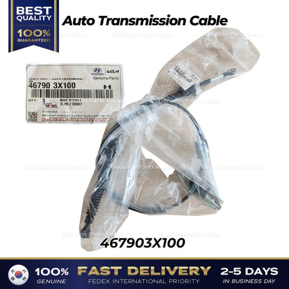 Genuine Auto Transmission Cable 467903X100 for Hyundai Elantra