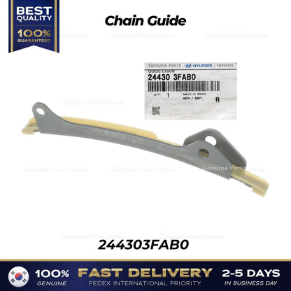 Genuine Chain Guide 244303FAB0 for Hyundai Genesis G80 G90