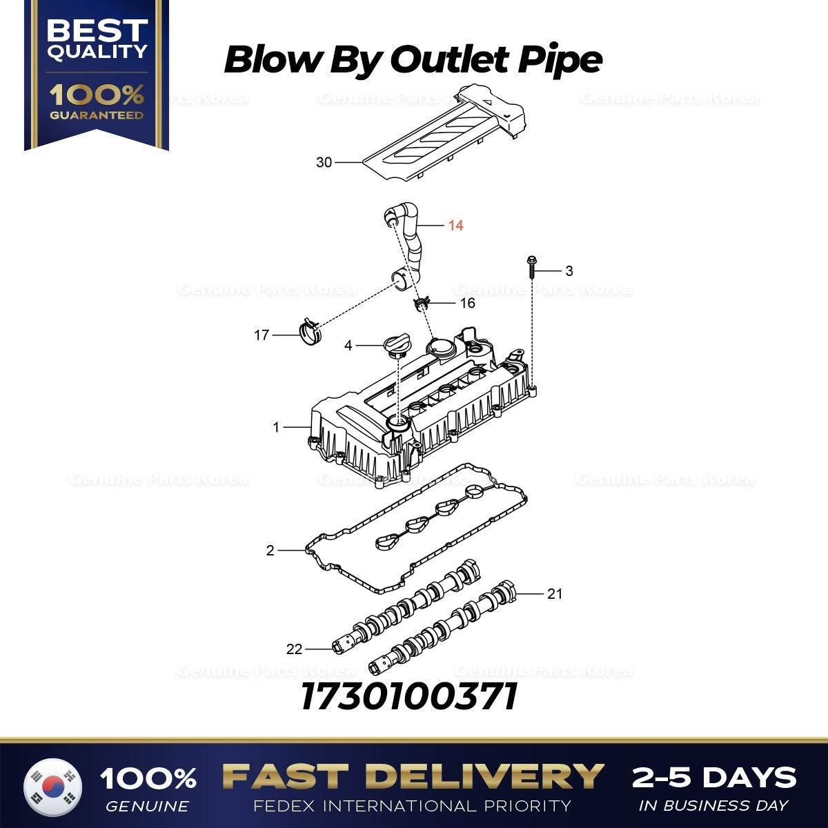 Genuine Blow By Outlet Pipe 1730100371 for Ssangyong Tivoli
