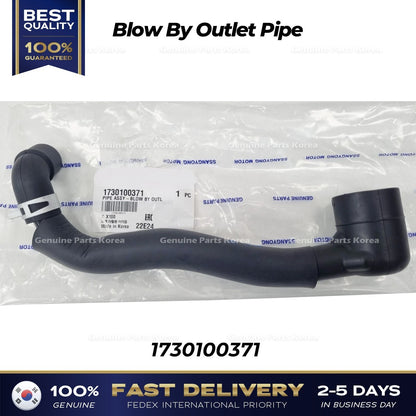 Genuine Blow By Outlet Pipe 1730100371 for Ssangyong Tivoli