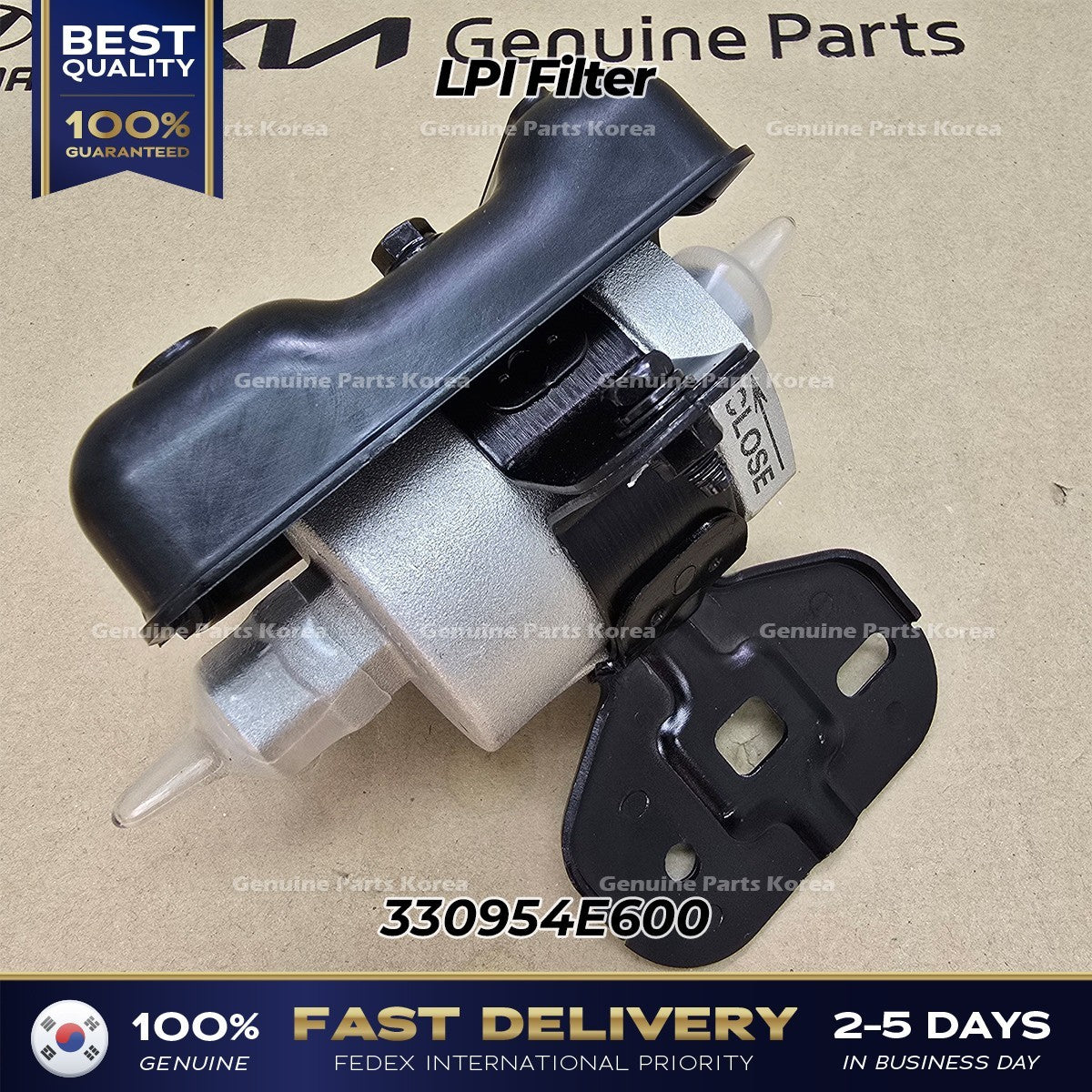 Genuine LPI Filter 330954E600 for Kia Bongo III