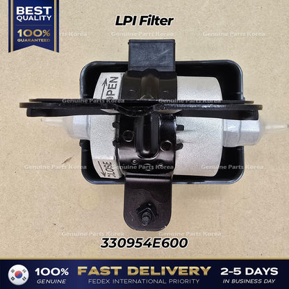 Genuine LPI Filter 330954E600 for Kia Bongo III