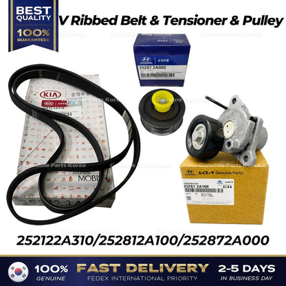 Genuine V Ribbed Belt & Tensioner & Pulley for Hyundai i40