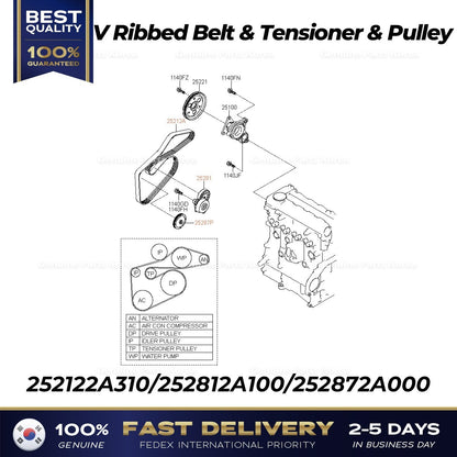 Genuine V Ribbed Belt & Tensioner & Pulley for Hyundai i40