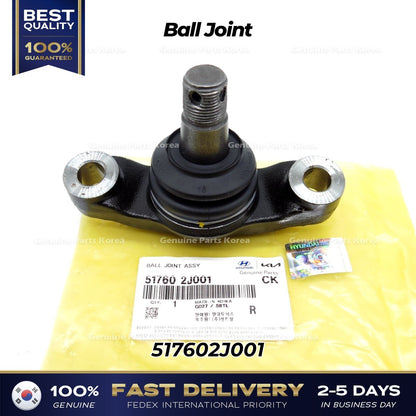 Genuine Ball Joint 517602J001 for Kia Mohave