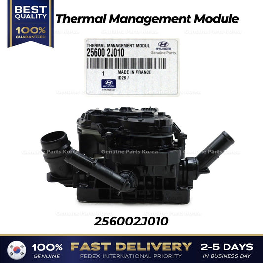 Genuine Thermal Management Module 256002J010 for Hyundai Sonata