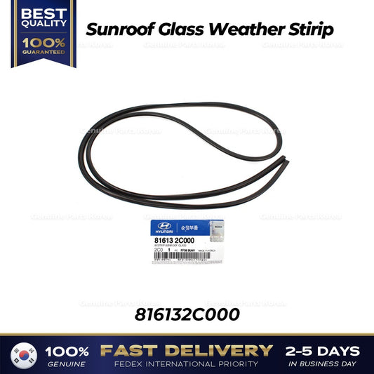 Genuine Sunroof Glass Weatherstirip 816132C000 for Hyundai Tiburon