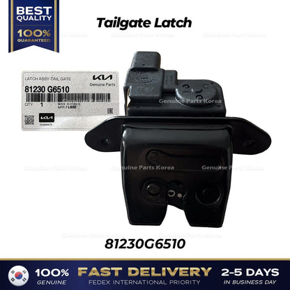 Genuine Tailgate Latch 81230G6510 for Kia Picanto Rio