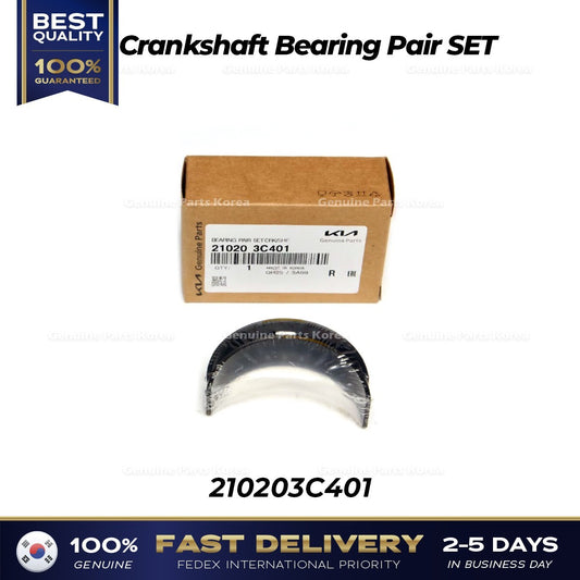Genuine Crankshaft Bearing Pair SET 210203C401 for Hyundai Kia