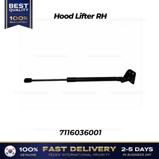 Genuine Hood Lifter RH 7116036001 for SsangYong G4 Rexton Musso