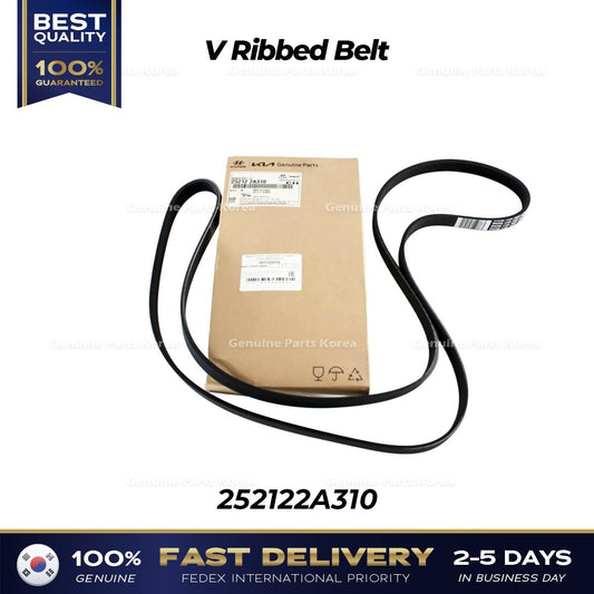 Genuine V Ribbed Belt 252122A310 for Hyundai Accent Elantra Kia Soul Carens