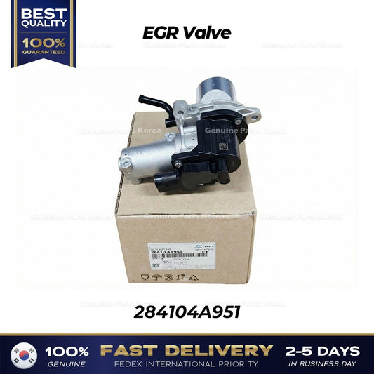 Genuine EGR Valve 284104A951 for Hyundai Porter II