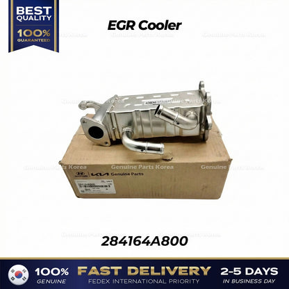 Genuine EGR Cooler 284164A800 for Hyundai Porter II
