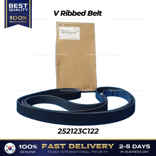 Genuine V Ribbed Belt 252123C122 for Kia Sedona