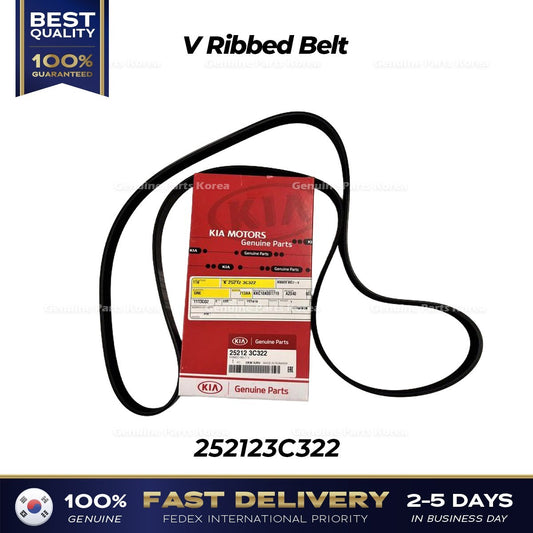 Genuine V Ribbed Belt 252123C322 for Kia Sedona Sorento