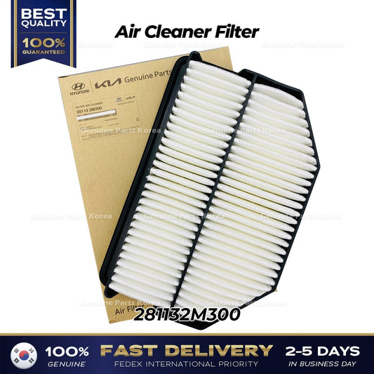 Genuine Air Cleaner Filter 281132M300 for Hyundai Genesis Coupe