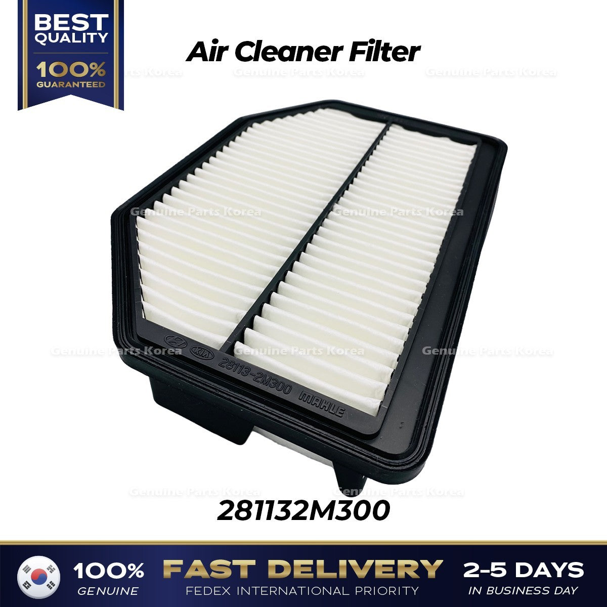 Genuine Air Cleaner Filter 281132M300 for Hyundai Genesis Coupe