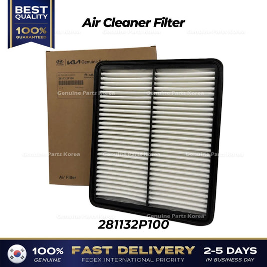 Genuine Air Cleaner Filter 281132P100 for Hyundai Azera Sonata Kia Optima