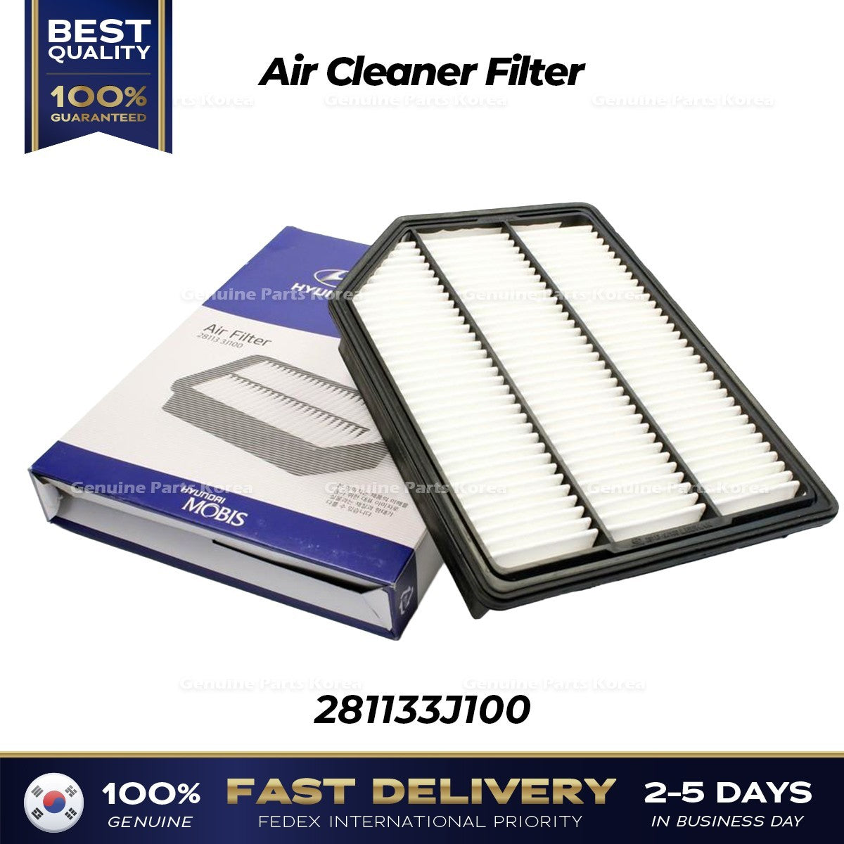Genuine Air Cleaner Filter 281133J100 for Hyundai Veracruz