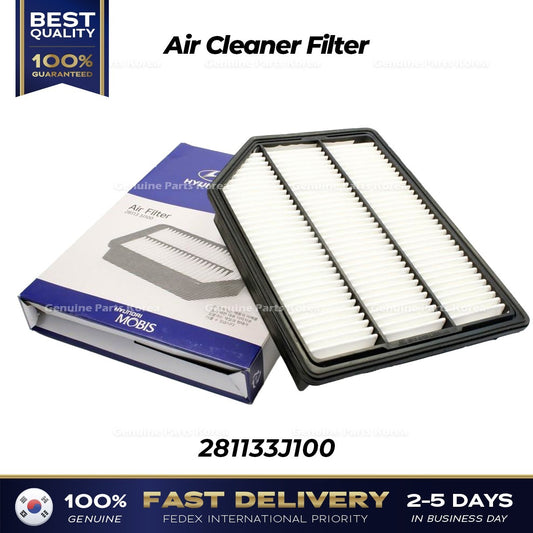 Genuine Air Cleaner Filter 281133J100 for Hyundai Veracruz