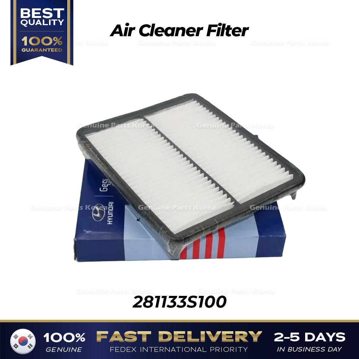 Genuine Air Cleaner Filter 281133S100 for Hyundai Veloster Kia Cadenza
