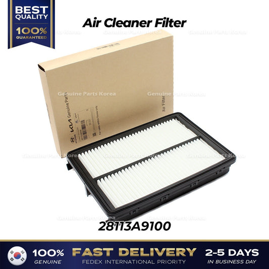 Genuine Air Cleaner Filter 28113A9100 for Hyundai Palisade Kia Sedona