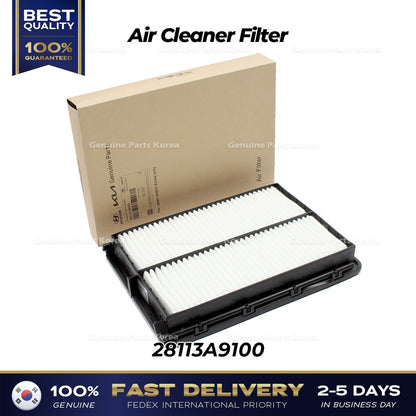 Genuine Air Cleaner Filter 28113A9100 for Hyundai Palisade Kia Sedona