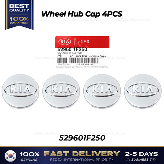 Genuine Wheel Hub Cap 4PCS 529601F250 for Kia Borrego Forte