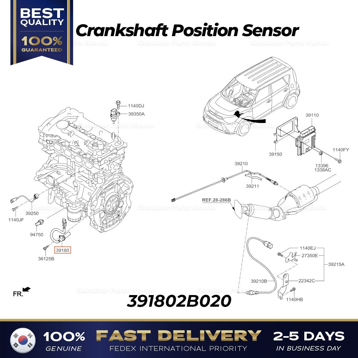 Genuine Crankshaft Position Sensor 391802B020 for Kia Rio Soul