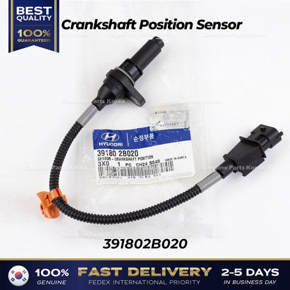 Genuine Crankshaft Position Sensor 391802B020 for Kia Rio Soul