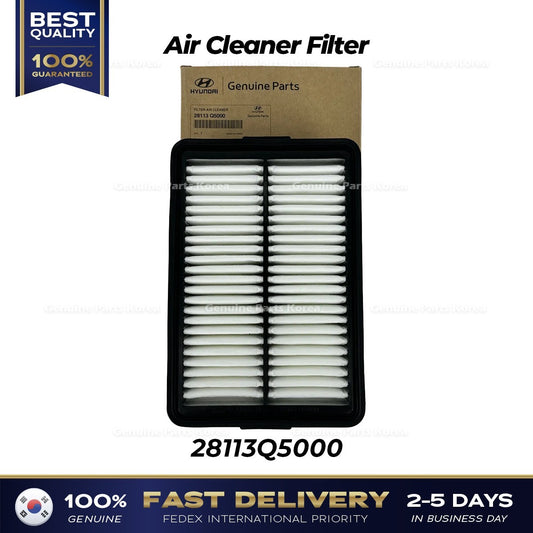 Genuine Air Cleaner Filter 28113Q5000 for Kia Seltos