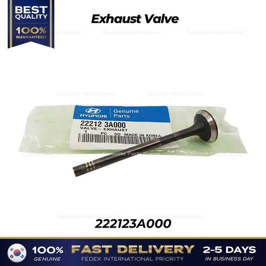 Genuine Exhaust Valve 222123A000 for Hyundai Veracruz