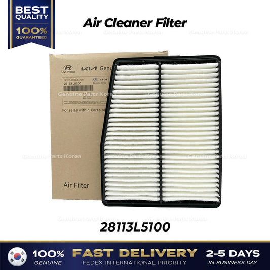 Genuine Air Cleaner Filter 28113L5100 for Hyundai Santa Fe Kia Sorento