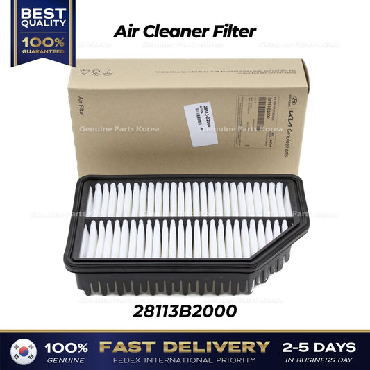 Genuine Air Cleaner Filter 28113B2000 for Kia Soul